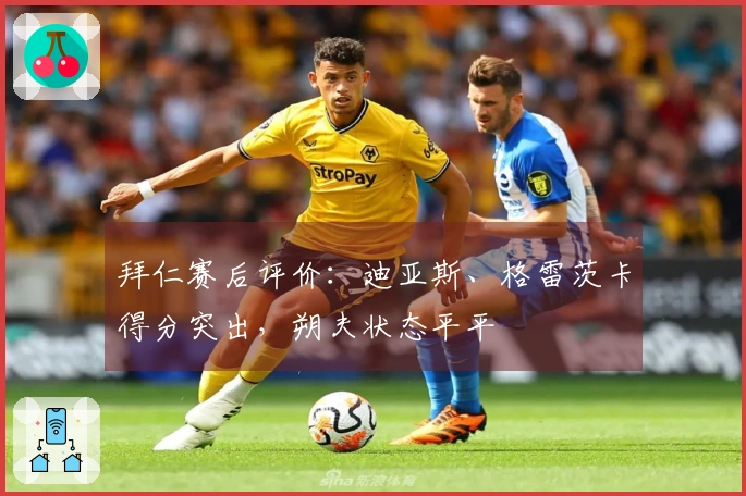 拜仁赛后评价：迪亚斯、格雷茨卡得分突出，朔夫状态平平