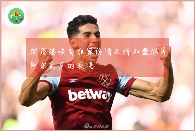 宿茂臻谈高准翼伤情及新加盟球员阿尔瓦罗的表现