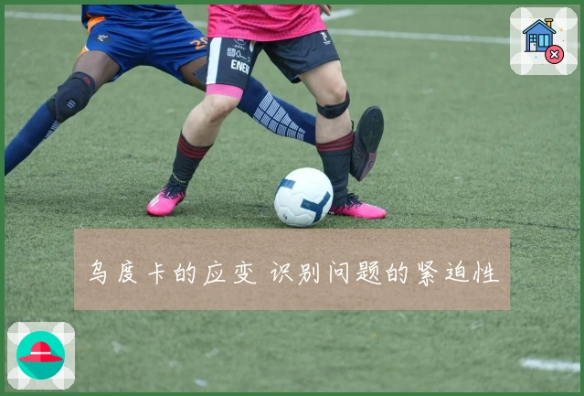 乌度卡的应变 识别问题的紧迫性